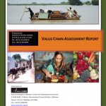 VALUE CHAIN ASSESSMENT REPORT