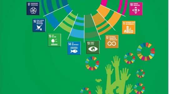 Citizens' Voices on Voluntary National Review & Status of SDGs in Pakistan 2019