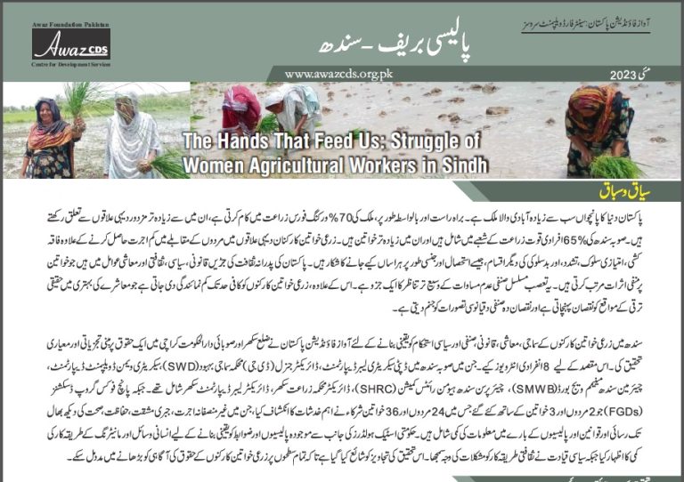 Policy Brief on WAWs Rights-Sindh (Urdu)