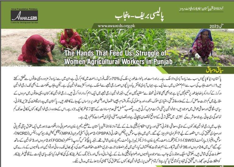 Policy Brief on WAWs Rights-Punjab (Urdu)