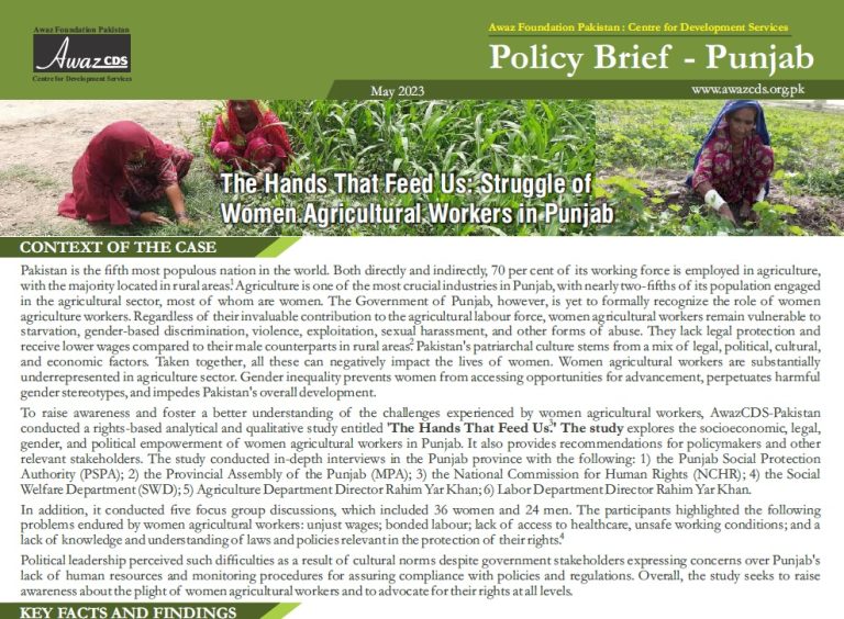 Policy Brief on WAWs Rights Punjab-English